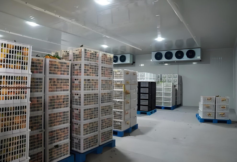 冷庫中貨物堆碼高度有限制嗎，依據(jù)是什么？